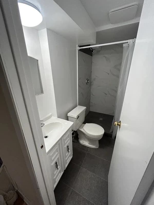 Basement bathroom conversion in London Ontario with tub and tiled shower